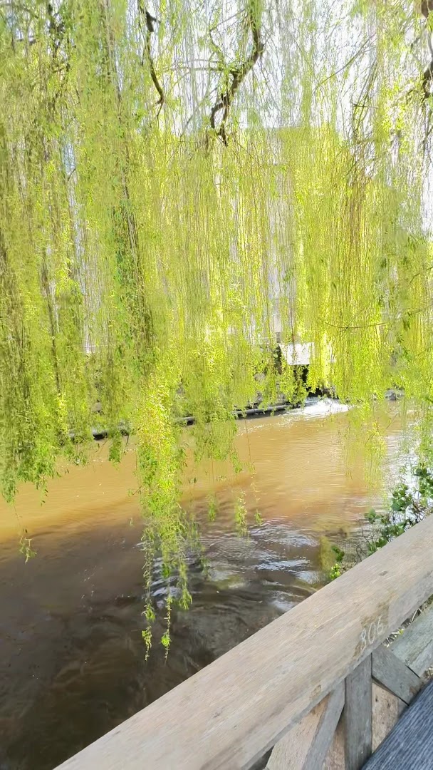 Les Jardins du Trieux · Photos 17